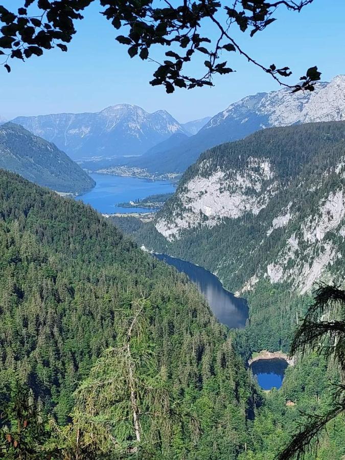Ferienwohnung Haas Bad Aussee Bagian luar foto